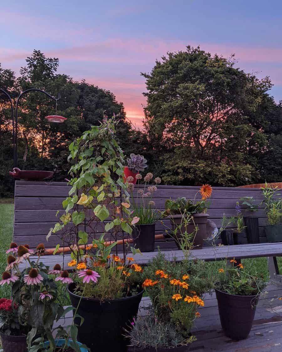 Container planters with trail support