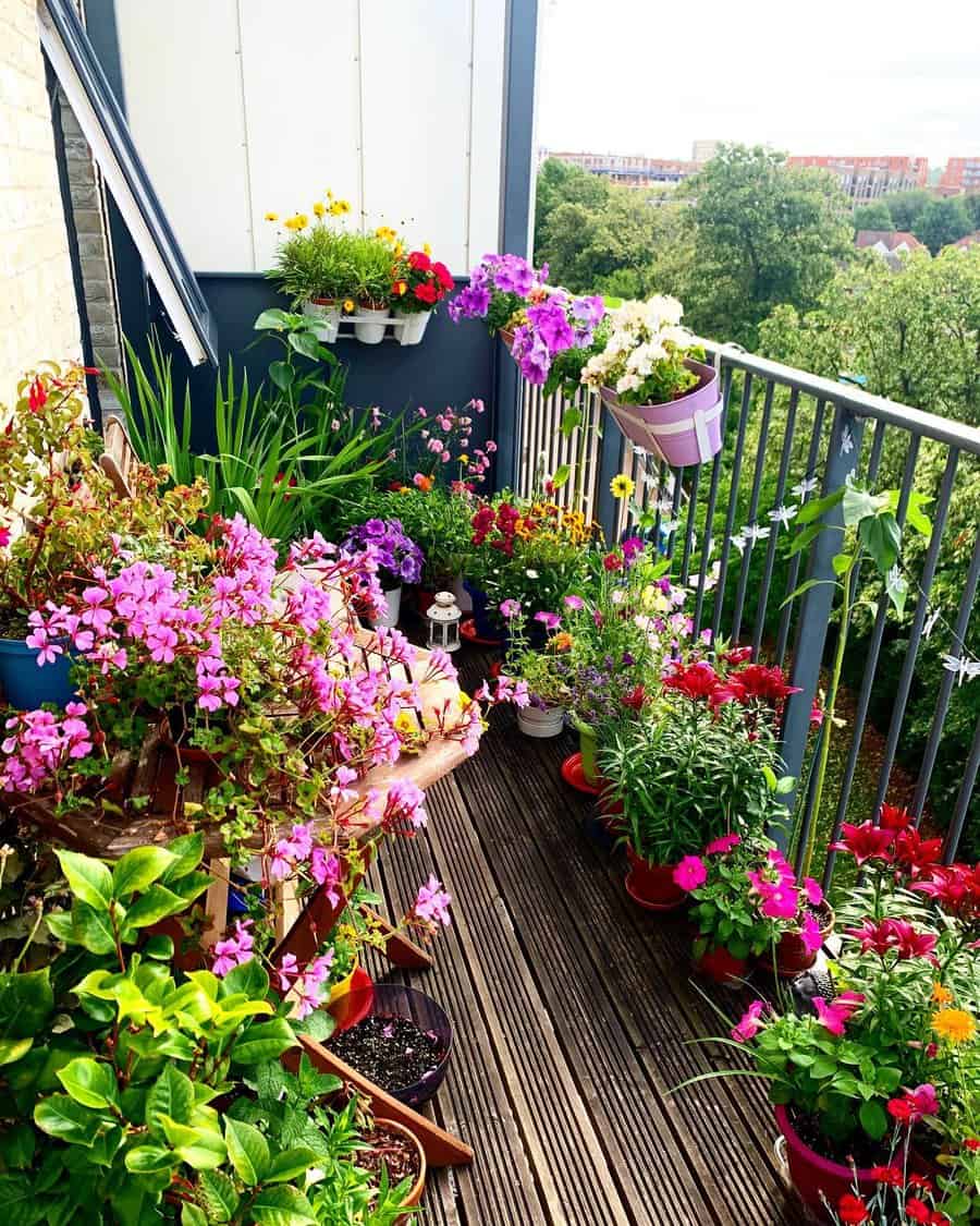 Purple container garden