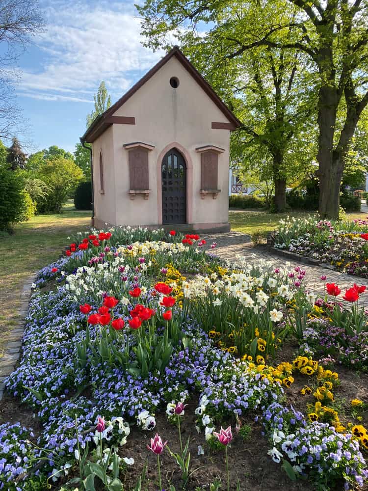 Chapel with colorful tulips and pansies in bloom