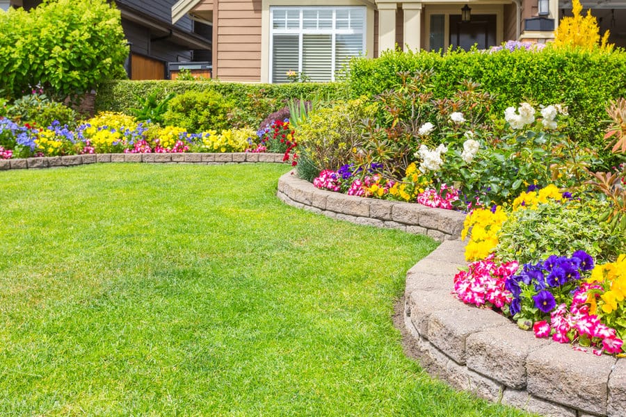 Lush lawn with curved flower beds and colorful blooms