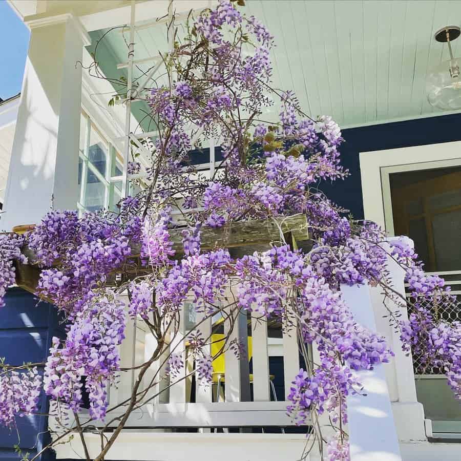 porch with flowers