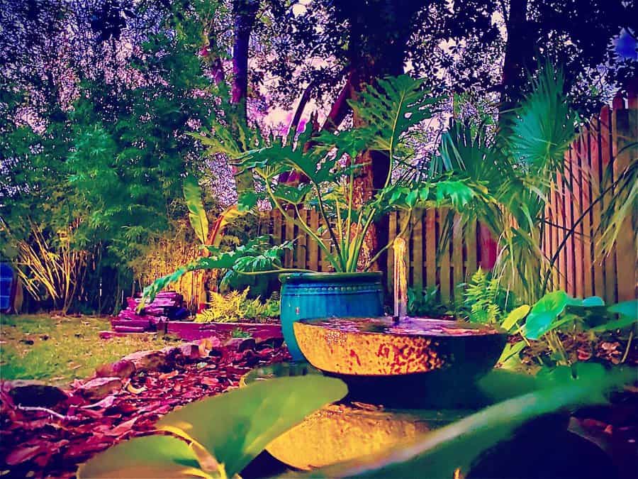 Lush garden scene with a blue pot, large green leaves, wooden fence, and vibrant foliage under twilight skies