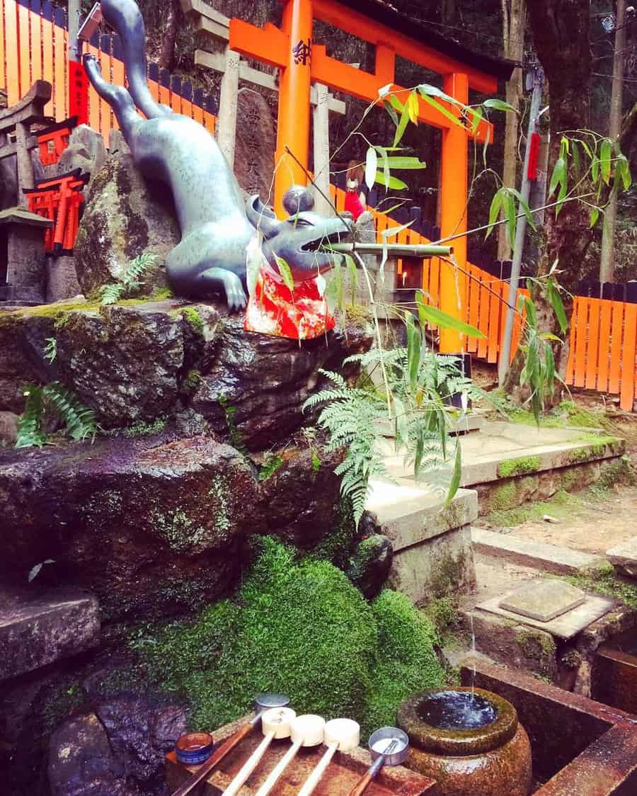 A fox sculpture with a red bib at a Japanese shrine, nearby are wooden ladles and a water basin, surrounded by trees and orange gates