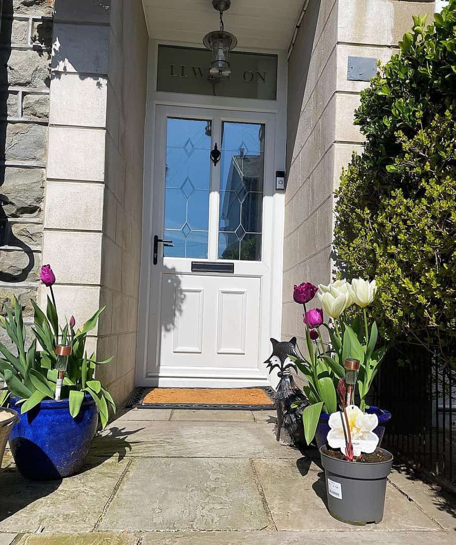 Front garden with potted plants on the doorway