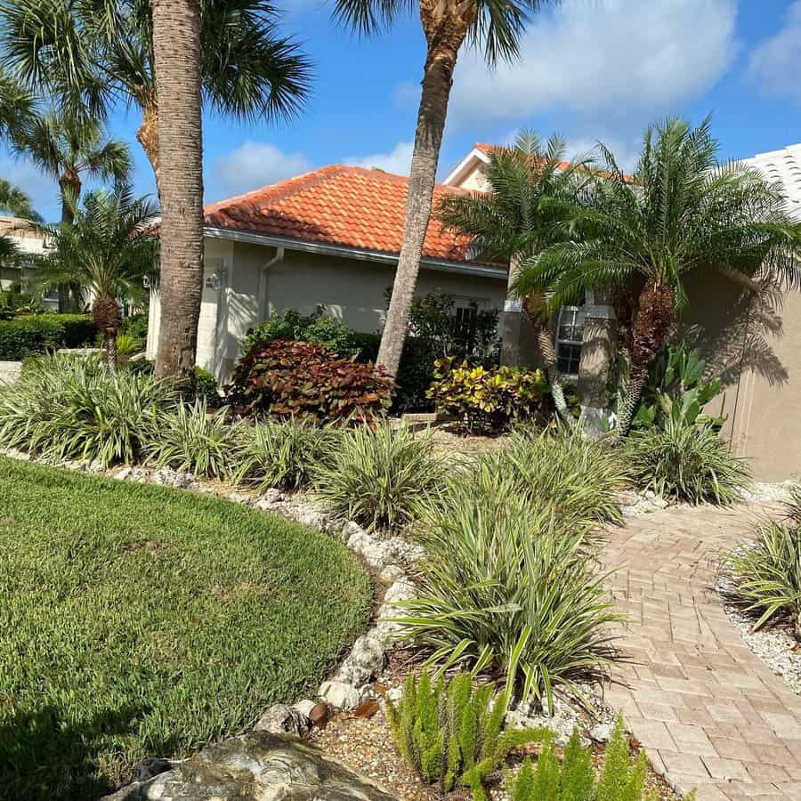 Florida front yard with palm trees, lush greenery, a curved brick walkway, and drought-friendly plants for a tropical yet low-maintenance landscape design