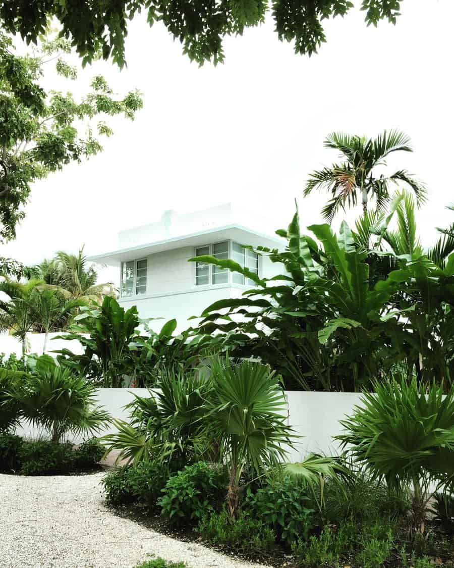 Modern Florida front yard with lush tropical greenery, palm trees, and banana plants creating a private, serene oasis around a sleek white contemporary home