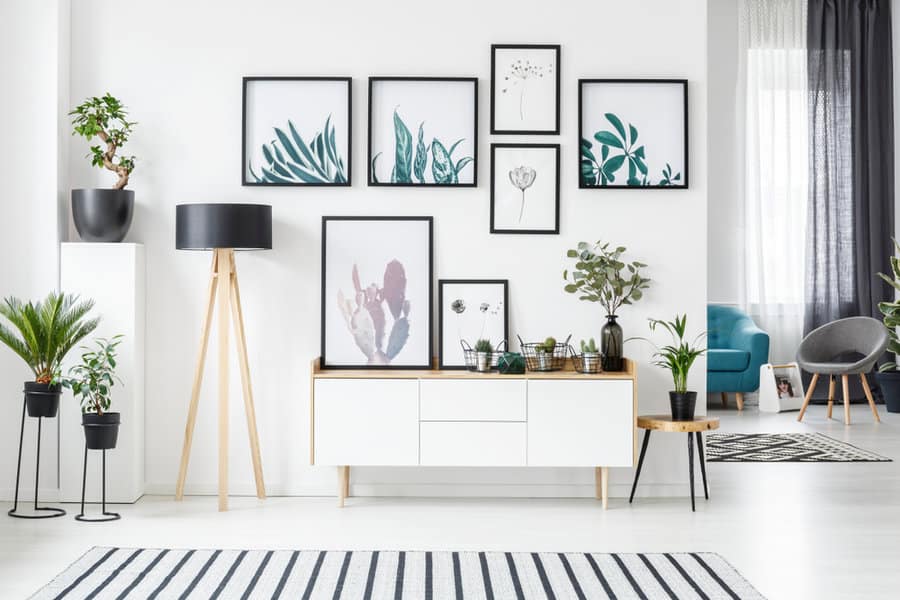 A white room adorned with plants and wall pictures