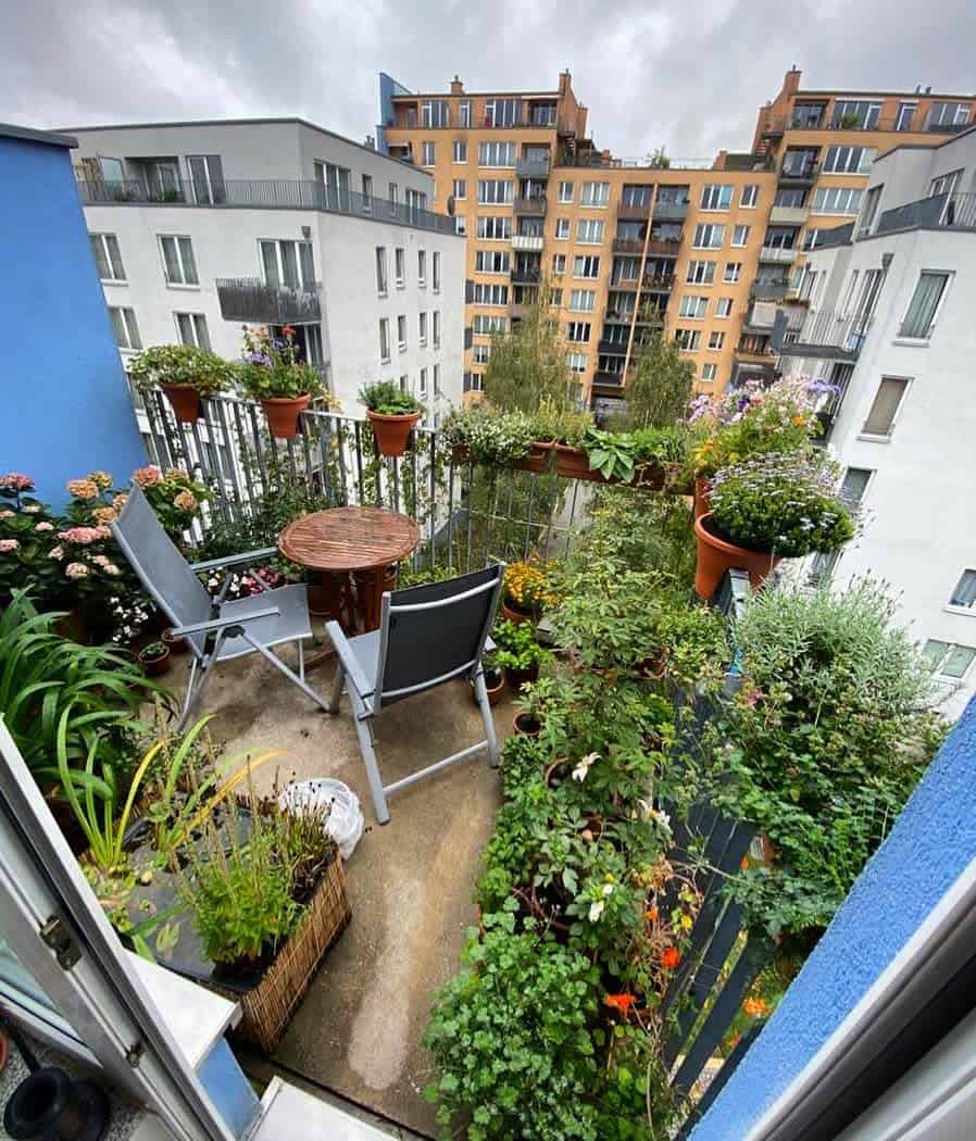 apartment balcony railing with plants