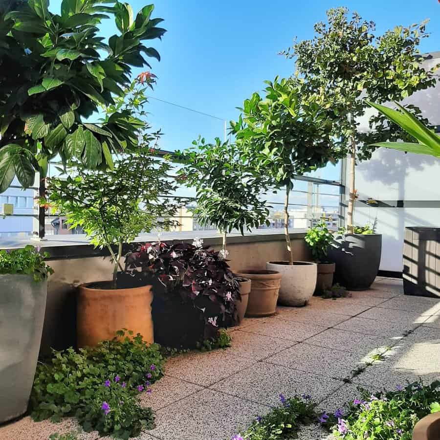 apartment balcony railing with plants