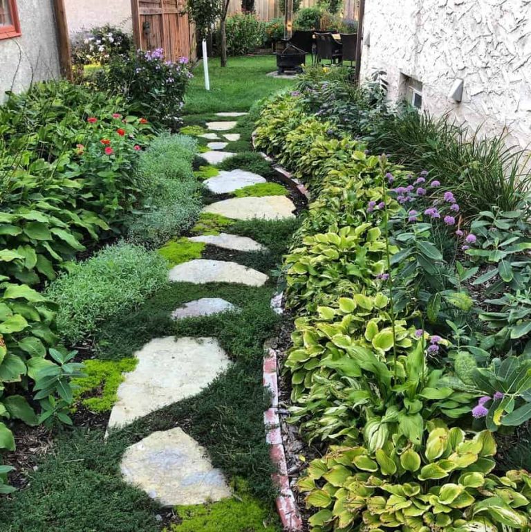 18 Backyard Ideas on a Budget