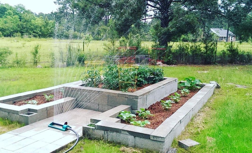 Raised DIY cinder block garden bed with multiple levels, growing vegetables and plants, supported by a sprinkler system for easy backyard gardening