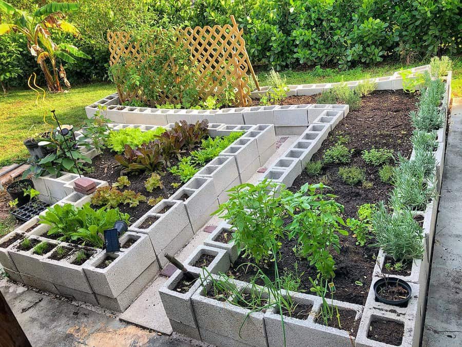 Raised DIY cinder block garden bed with multiple sections, growing herbs, vegetables, and greenery, featuring a trellis for climbing plants in a lush backyard