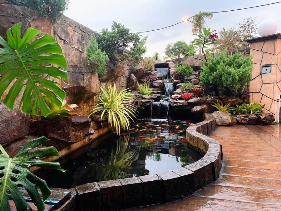 A serene garden with a small waterfall cascading into a koi pond, surrounded by lush greenery and a stone path