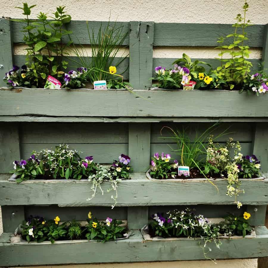 Pallet wall planter with a variety of flowers