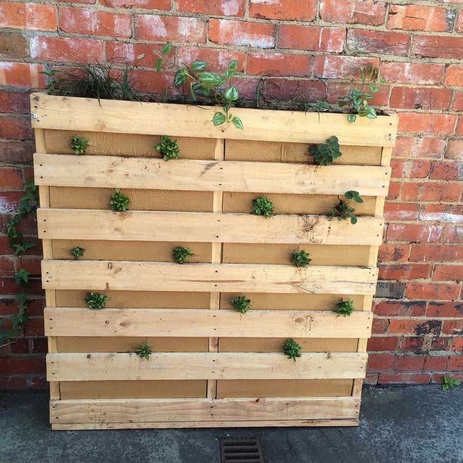 Wall mounted pallet planter with young plants on brick backdrop