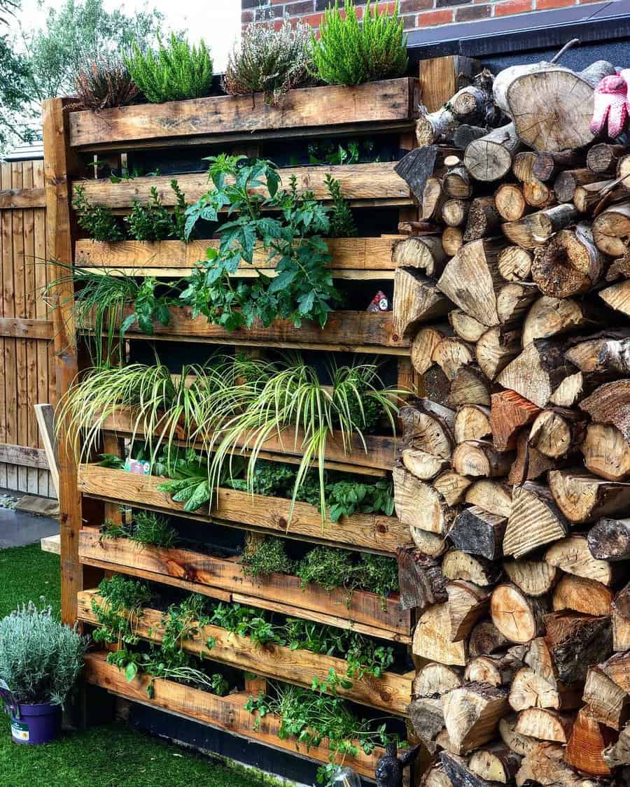 Pallet wall planter with a variety of succulents