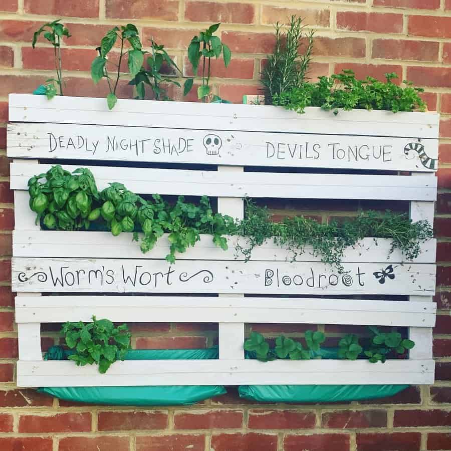 Pallet wall planter with a variety of succulents