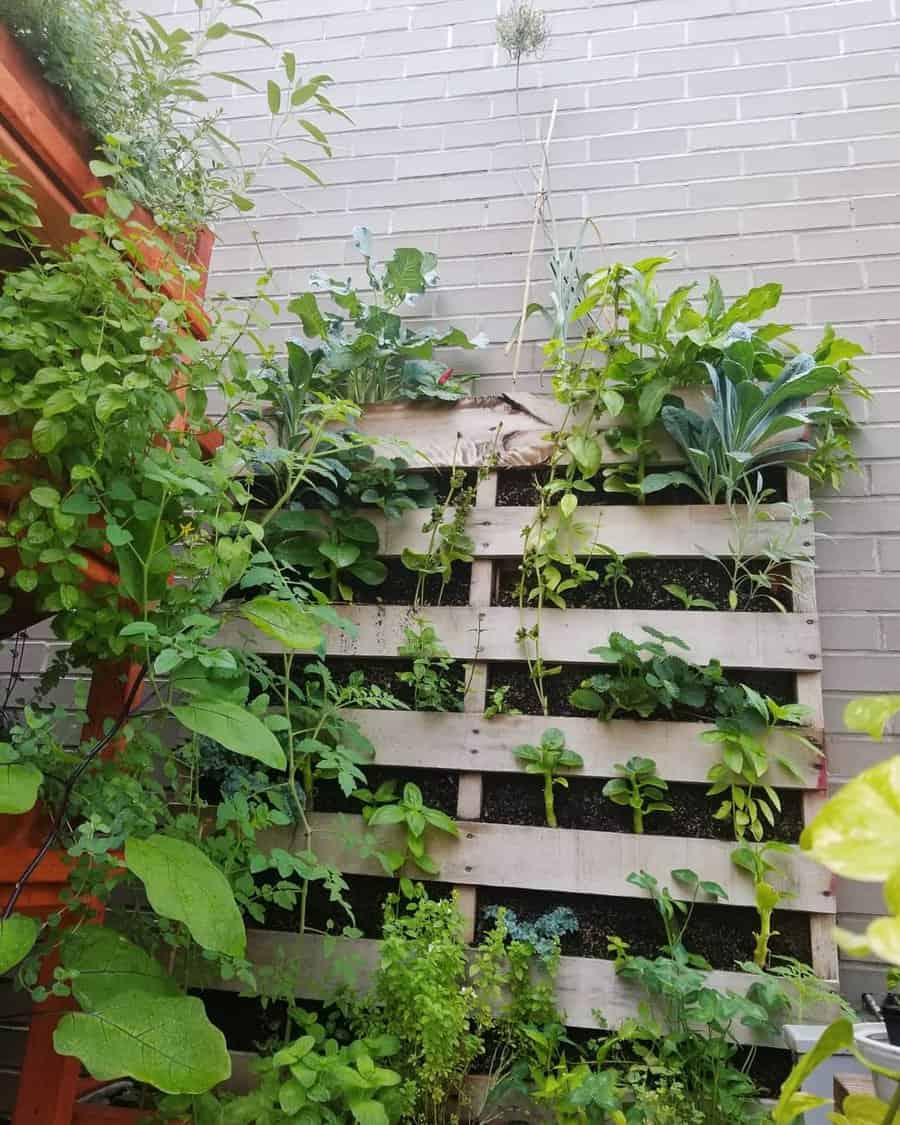 Pallet wall planter with a variety of succulents