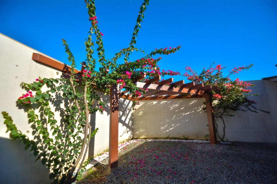 Pergola with vertical garden