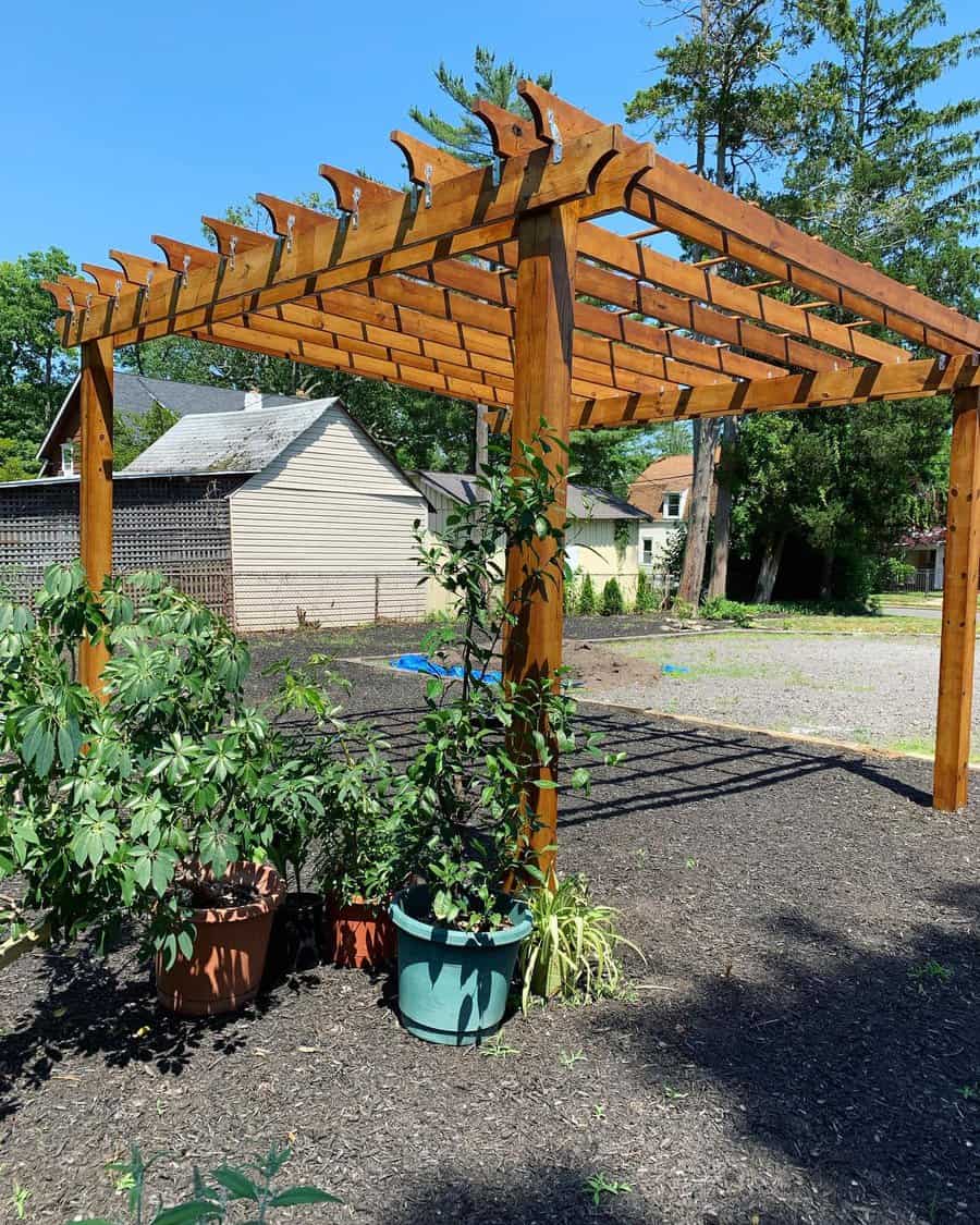 Pergola with vertical garden