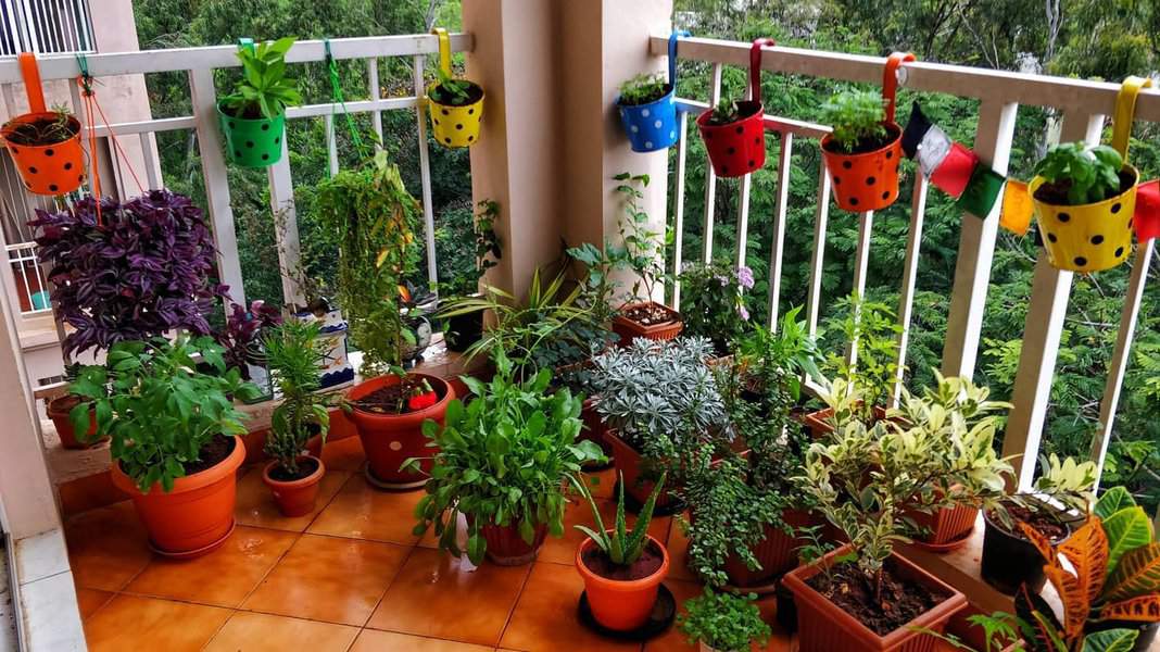 balcony with plants 