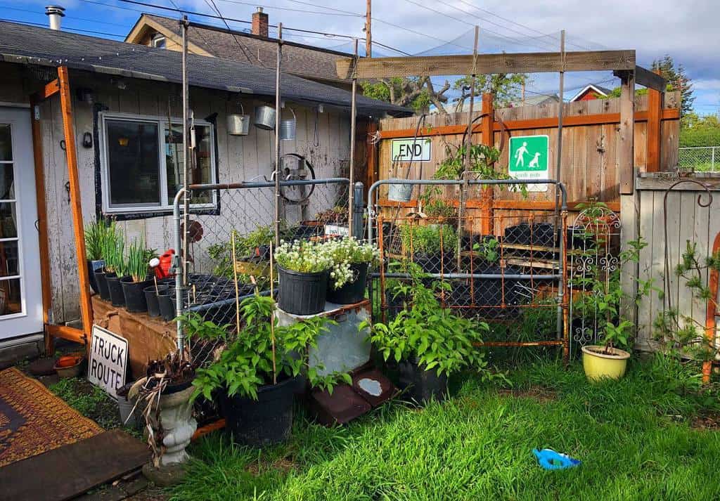 A backyard garden with potted plants, a fence, and signs displayed near a shed