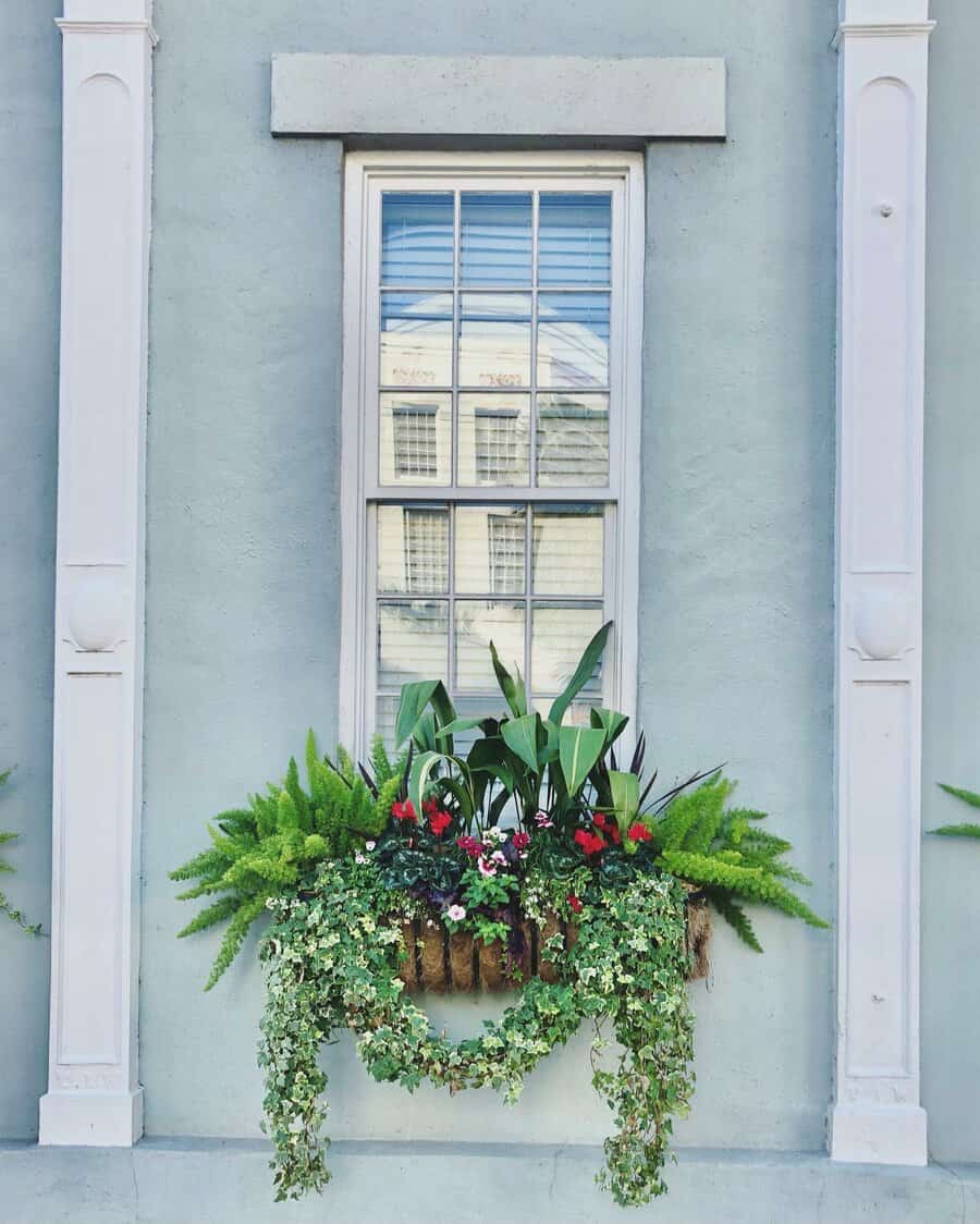 Window box arrangement on coco fiber