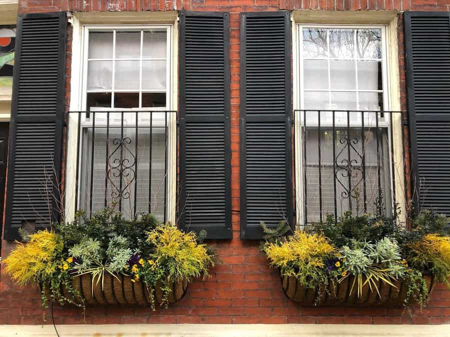 Window box arrangement on coco fiber