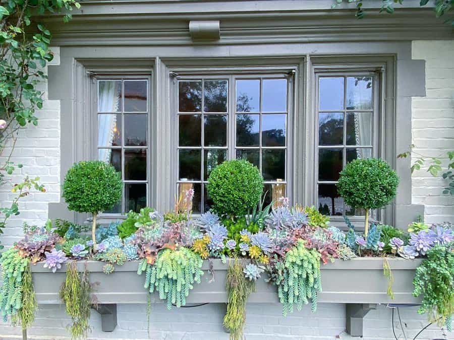 succulent window box arrangement