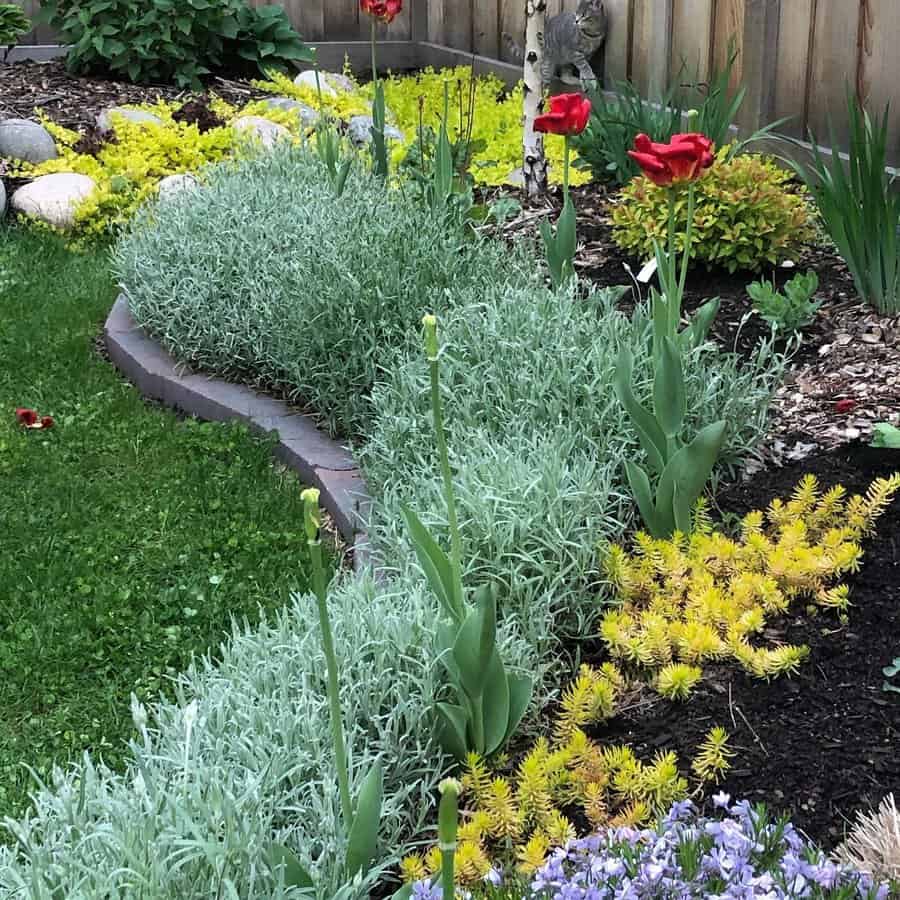 Cheap and easy landscaping