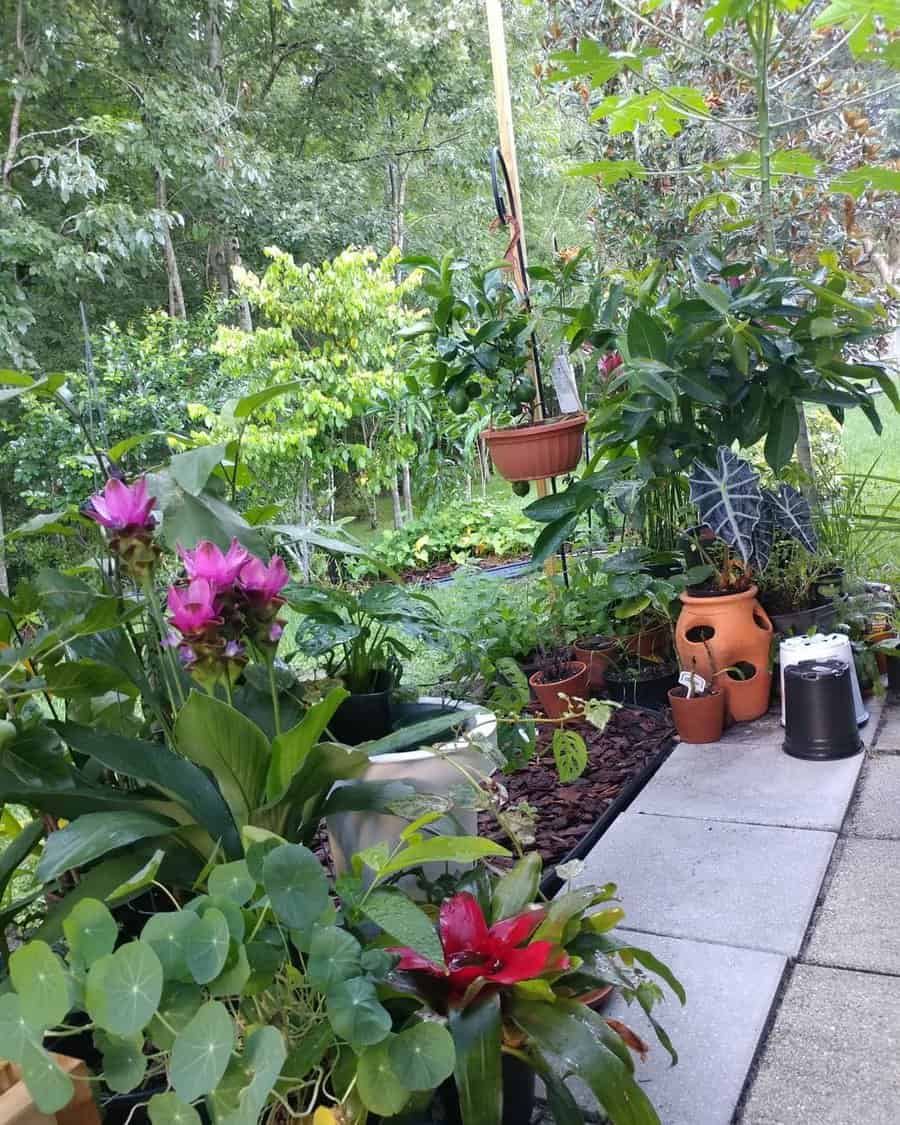 Lush Florida garden with tropical plants, potted greenery, hanging citrus, and blooming flowers, creating a vibrant and serene outdoor retreat