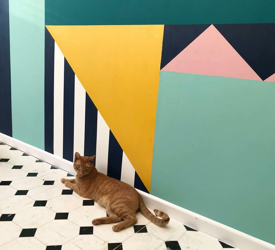 Geometric color block wall paint