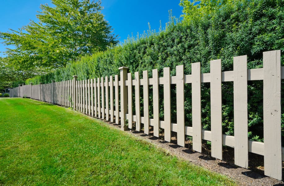 White picket fence with dense hedge behind