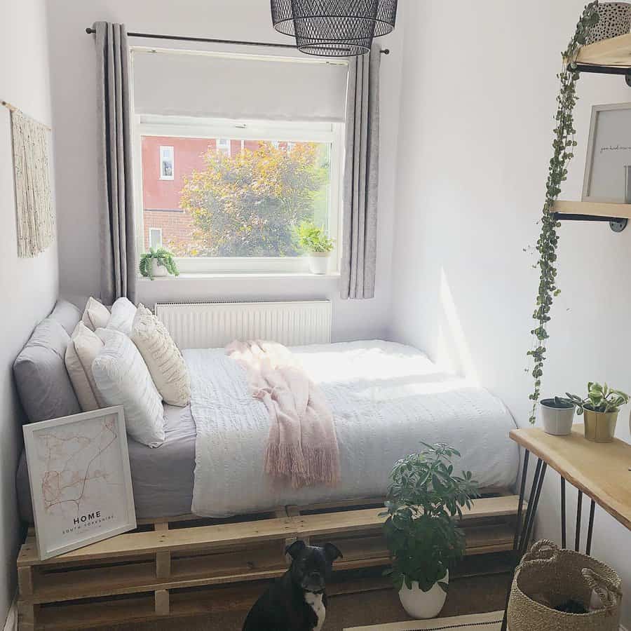 Bright bedroom with greenery and a dog