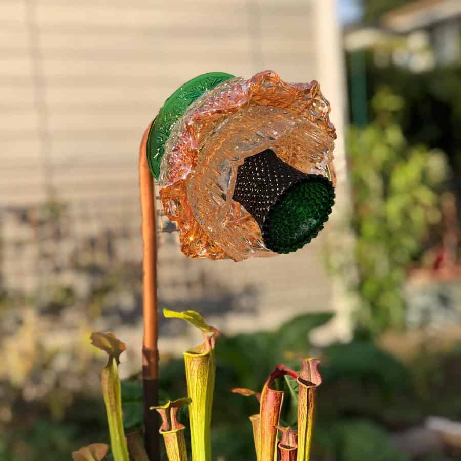 Dish garden art