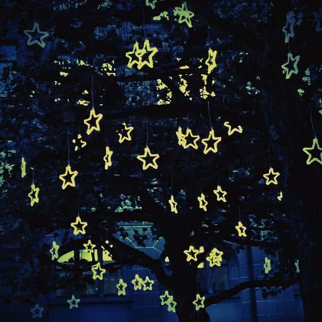 Glowing star-shaped lights hanging from tree branches at night, creating a dreamy atmosphere against a dark background