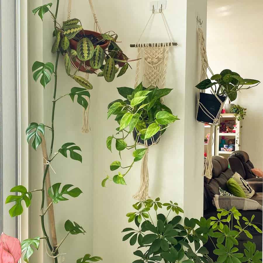 hanging planters 