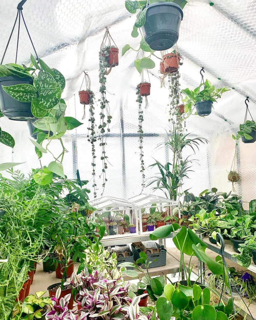 Hanging planters 