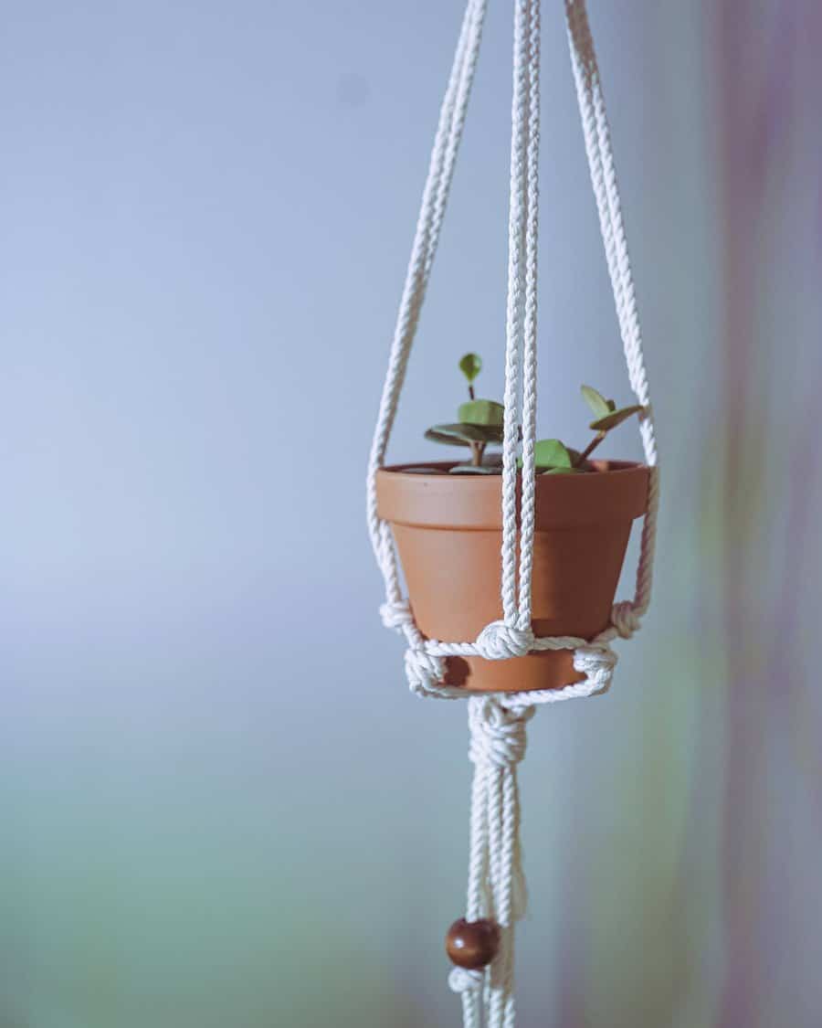 DIY macrame plant hanger