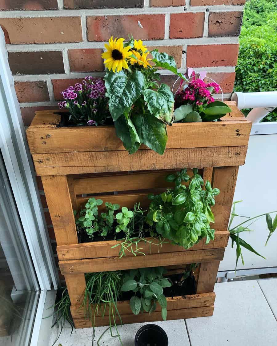 DIY wooden pallet planter on a balcony with sunflowers, colorful flowers, and fresh herbs like basil, mint, and chives against a brick wall