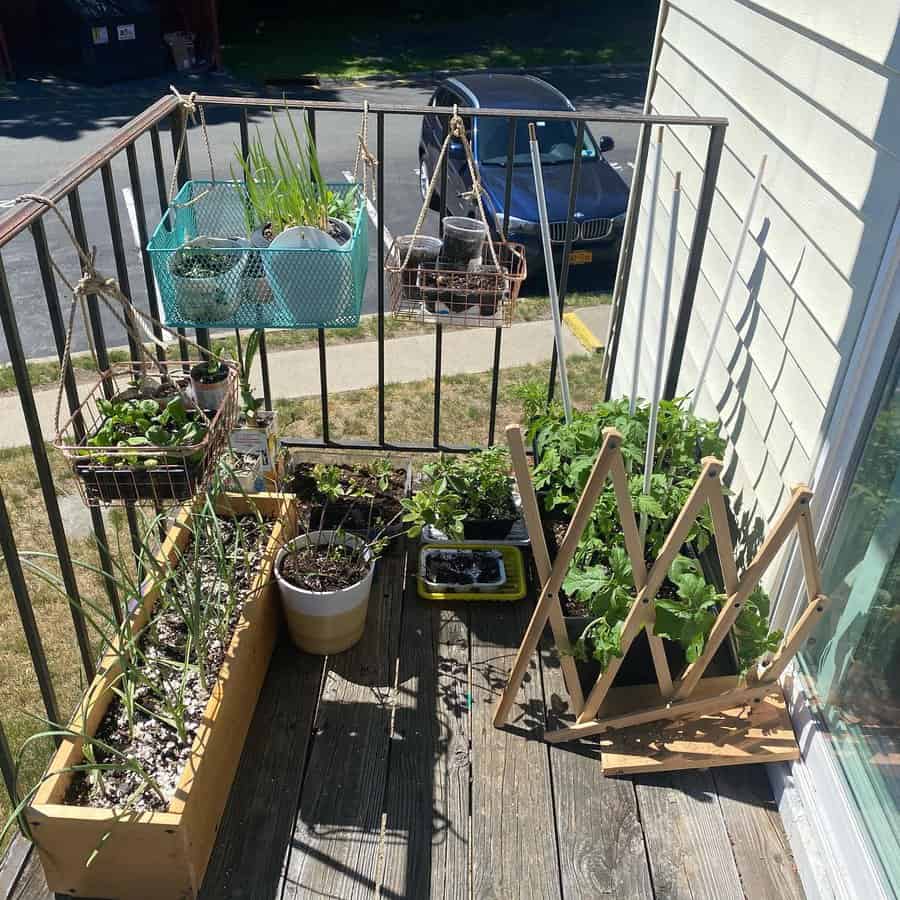 Hanging plants on the railing