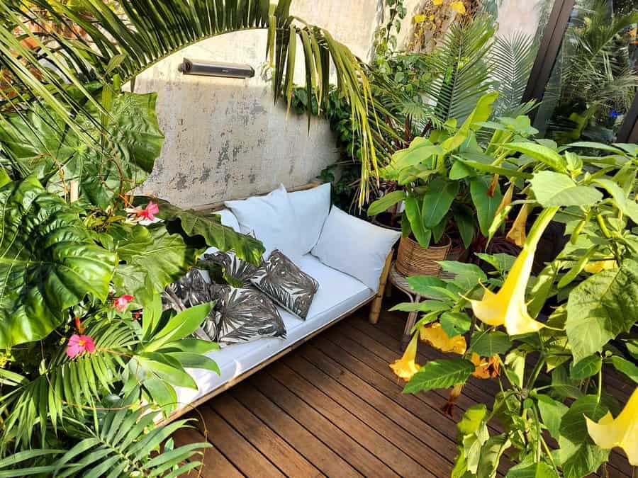 tropical garden with couch