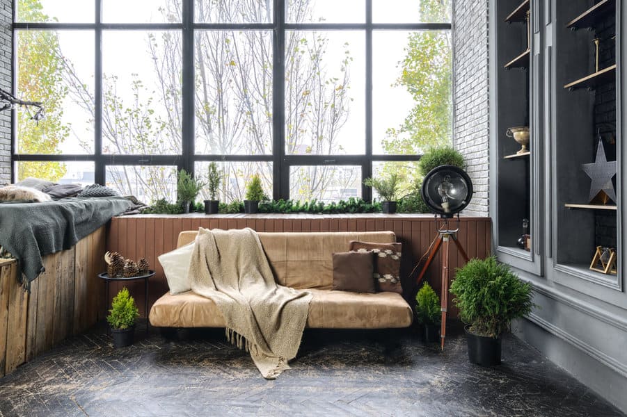 rustic living room with plants 