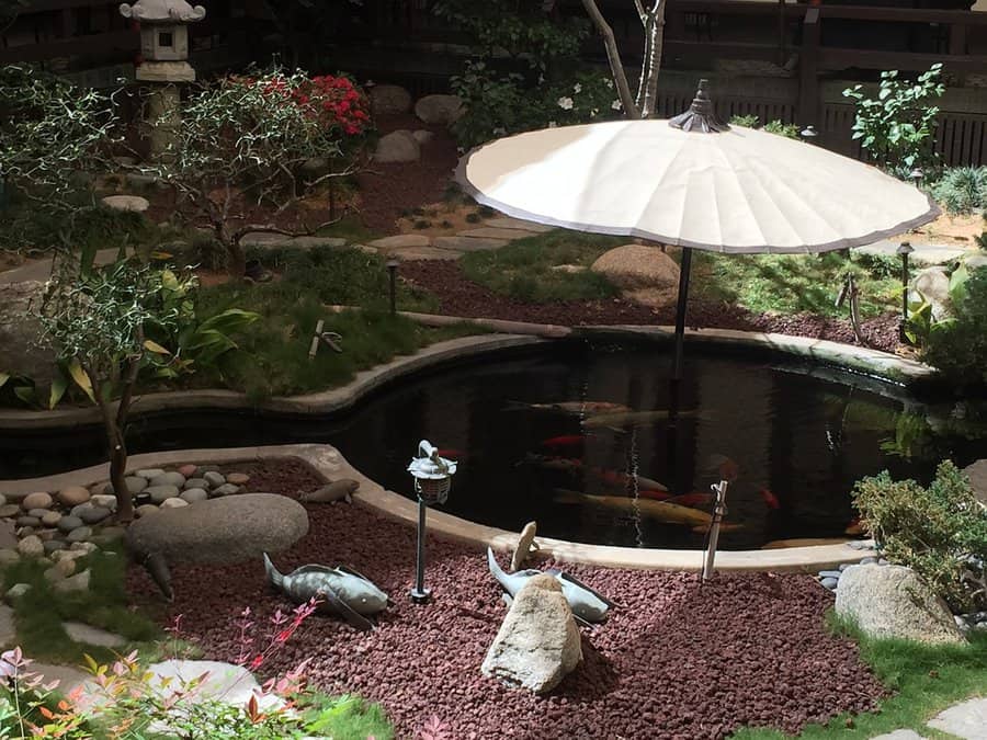 koi pond with umbrella