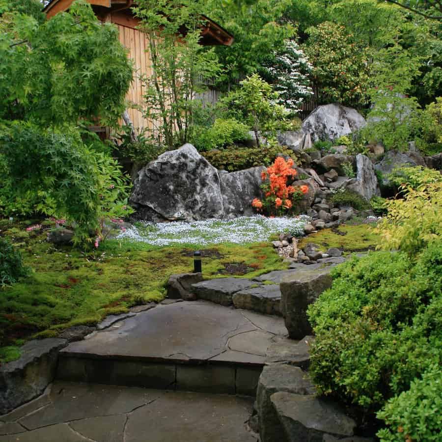 Japanese style garden