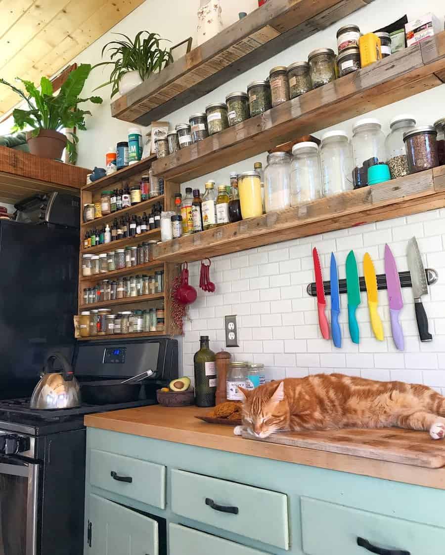 Tiny house kitchen with shelves and spices