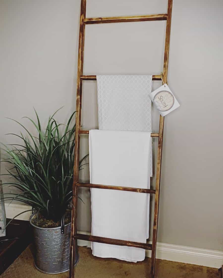 Ladder towel racks