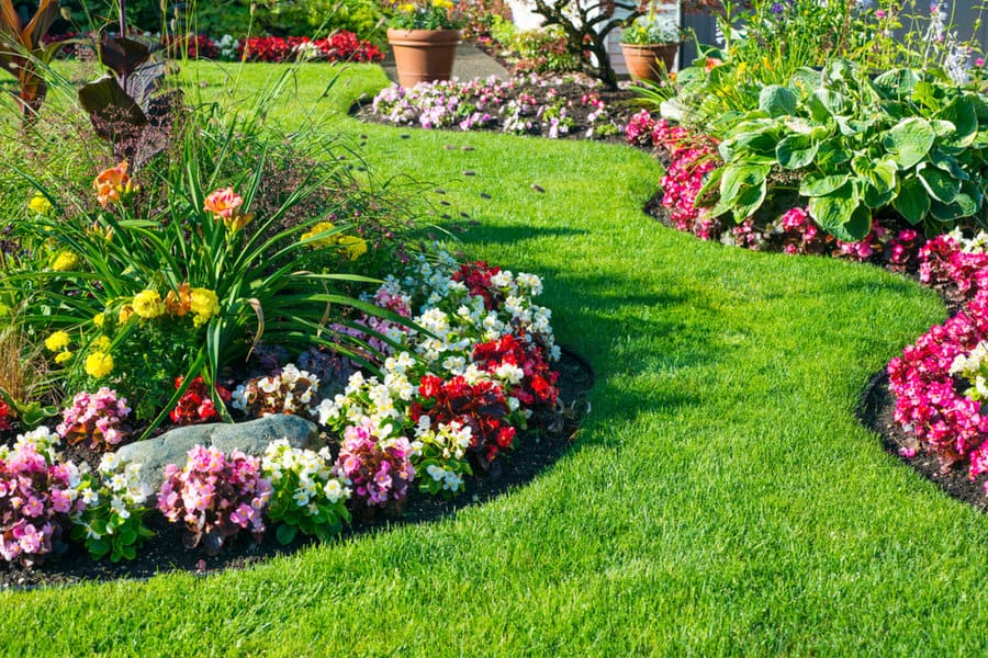lawn edging with plants