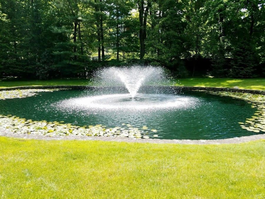 Large backyard pond