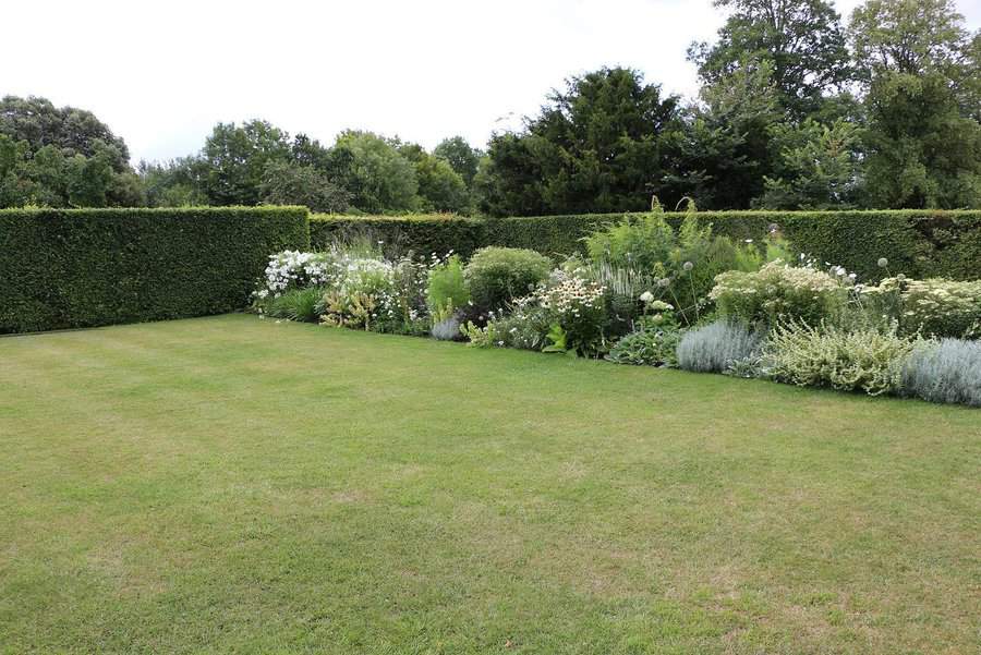 Spacious low-maintenance garden featuring a lush green lawn bordered by neatly trimmed hedges and a colorful mix of perennial flowers and foliage, ideal for a serene outdoor retreat